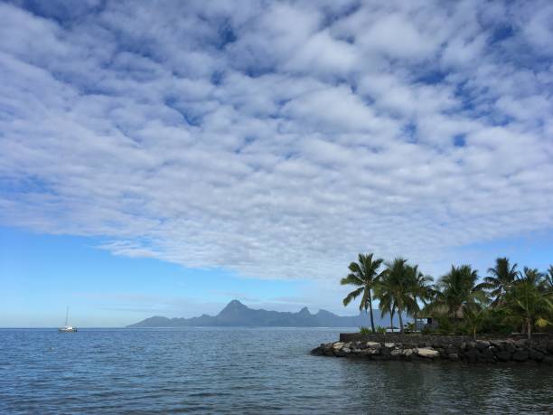 istock Holidays on paradise island 643123720