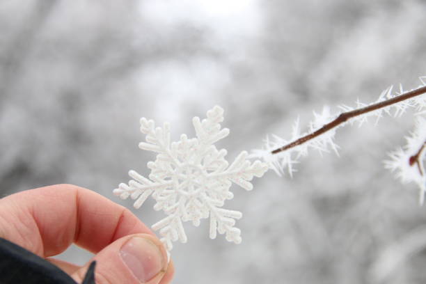 istock winter, snow, christmas idea, hand holding a snowflake 643126422