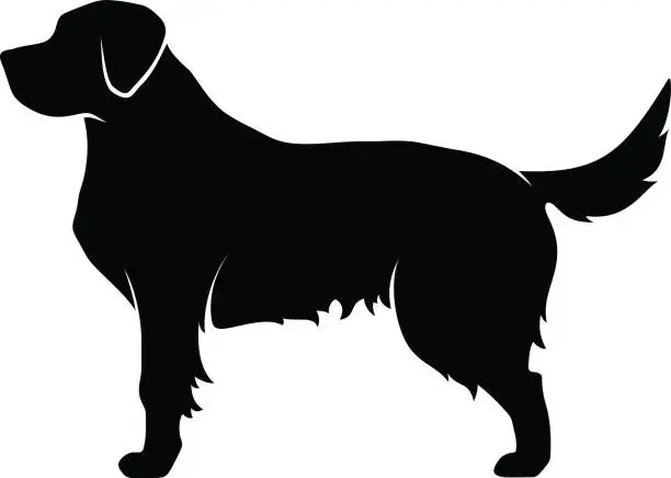 Vector illustration of Vector black silhouette of a dog.