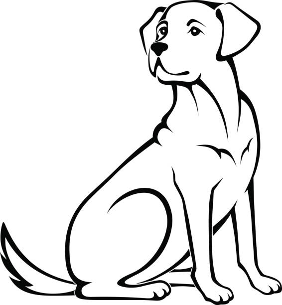 Vector illustration of a sitting dog. Vector black and white illustration of a sitting dog isolated on a white background. dog sitting stock illustrations