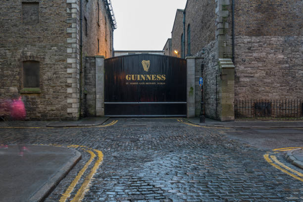 puerta de la cervecería guinness, dublín - guinness fotografías e imágenes de stock