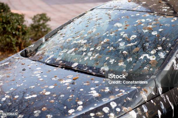 Colorful Car Stock Photo - Download Image Now - Car, Dirty, Bird Dropping