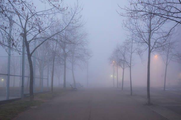 istock Foggy winter landscape on a urban park 643139604