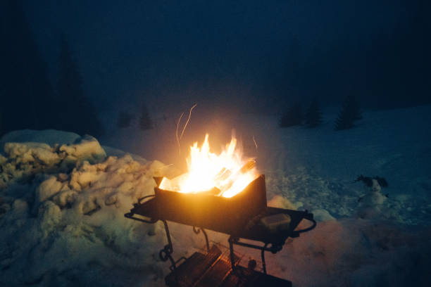 Fire in grill  in night in winter on the background of forest