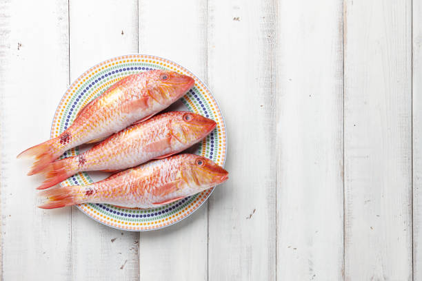 Red mullet fish on plate Fresh red mullet fish on plate on white wooden background costus stock pictures, royalty-free photos & images