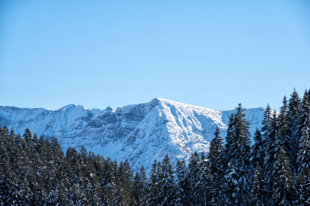 istock Winter landscape in the Bavarian Alps 643157256