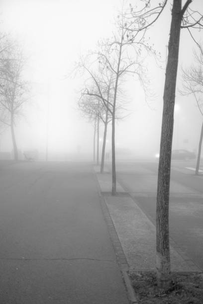 istock Foggy urban park with winter trees 643162496