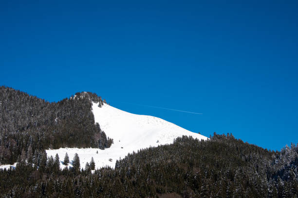 Winter landscape in the Bavarian Alps