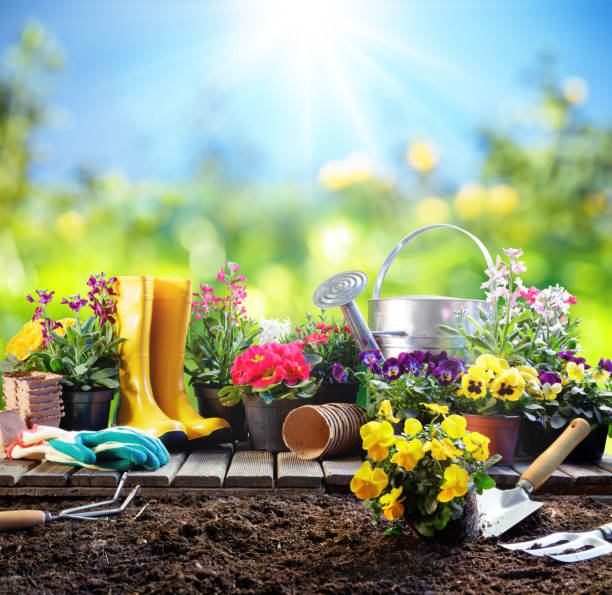 tuinieren - apparatuur voor de tuinman met bloempotten - tuin gereedschap stockfoto's en -beelden
