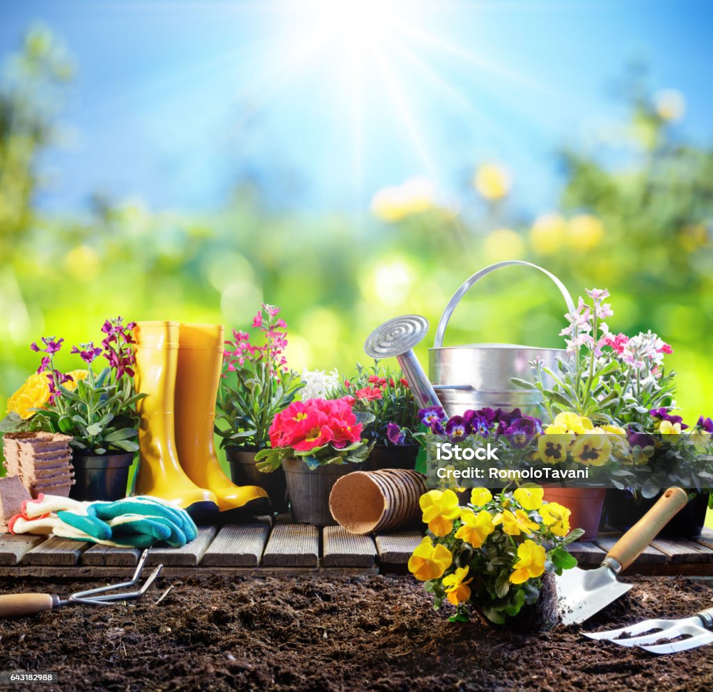 Gardening - Equipment For Gardener With Flowerpots Set Of Tools For Gardener And Flowerpots In Sunny Garden Gardening Stock Photo