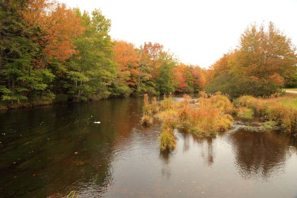 istock River in Meteghan River Digby Co, Nova Scotia, Canada 643190468