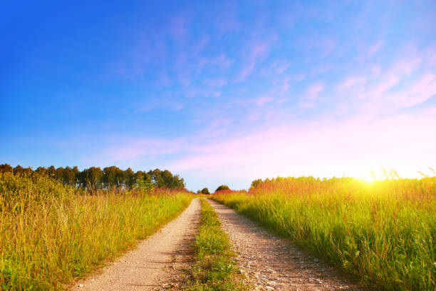 istock Country road at sunset. 643197656