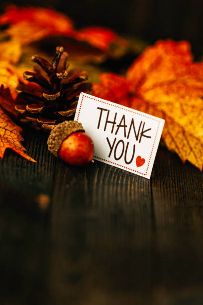 istock Thanksgiving background with thank you message 643224852