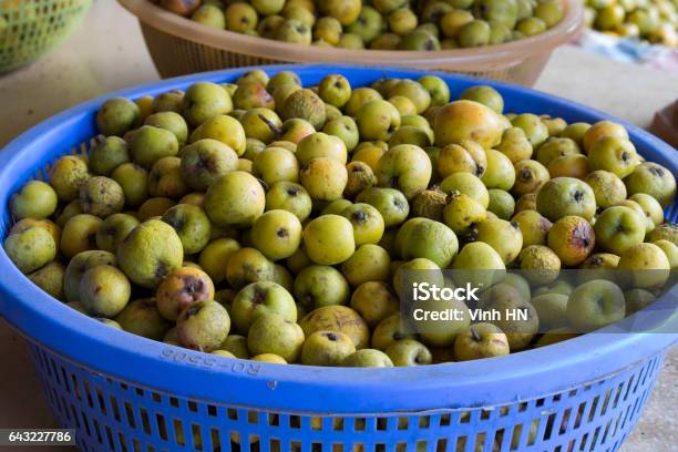 Táo Cua Xanh Loại Trái Cây Dại Nổi Tiếng Ở Miền Núi Việt Nam Từng Cho