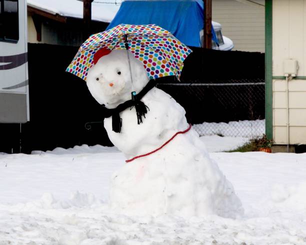 muñeco de nieve derretido con paraguas - melting snowman winter spring fotografías e imágenes de stock