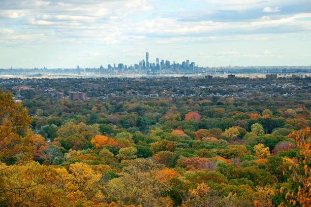 istock New York City skyline viewed from park 643254160