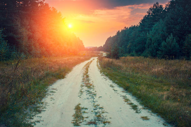 istock Rural dirt road in the forest with cloudy sunset sky 643255376