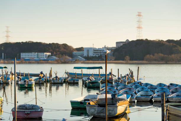 istock Teganuma Park at Winter 643262804