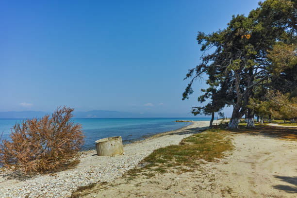 istock Beach of Ormos Prinou, Thassos island, Greece 643263566