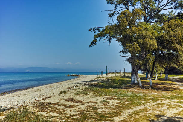 istock Beach of Ormos Prinou, Thassos island, Greece 643263740