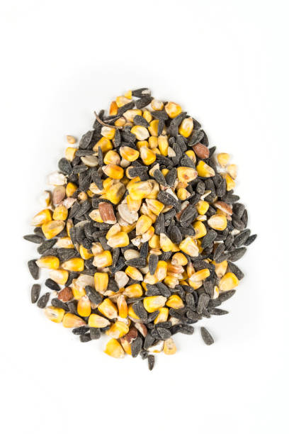 istock Pet feed and grains isolated on a white background 643267086