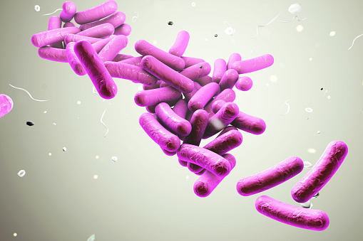 Barra-formado bacterias, Ilustración photo