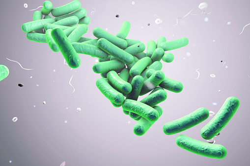 Barra-formado bacterias, Ilustración photo