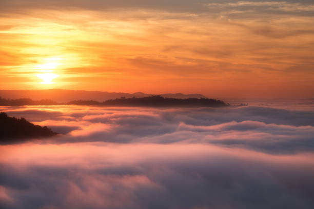 Beautiful sea of clouds in morning. Beautiful sunrise view and sea of clouds from Phuhuayesan in Nong khai provience, Thailand. nong khai province stock pictures, royalty-free photos & images