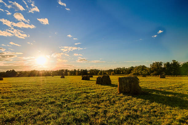 istock field with haystacks at sunset in early autumn 643272852