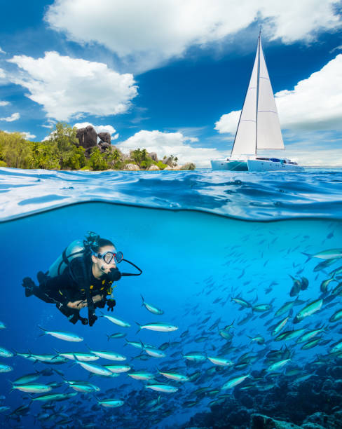 istock Young woman diving and exploring reef 643275450
