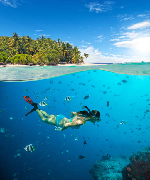 istock Young woman snorkling on tropical beach 643275476