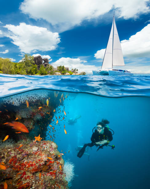 istock Young woman diving and exploring reef 643275552