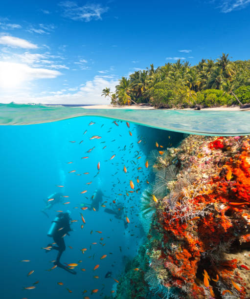 istock Group of scuba divers exploring coral reef 643275570