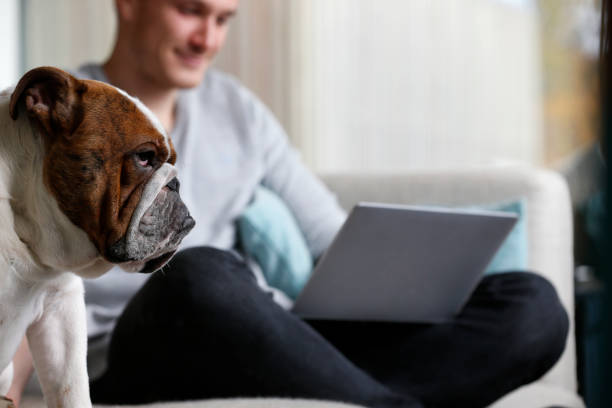 istock Man Relaxing On Sofa Using With Pet Bulldog  Laptop Computer 643289818