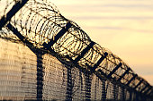 barbed wire steel wall against the immigrations in europe