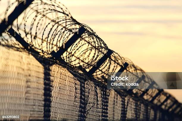 Barbed Wire Steel Wall Against The Immigrations In Europe Stock Photo - Download Image Now