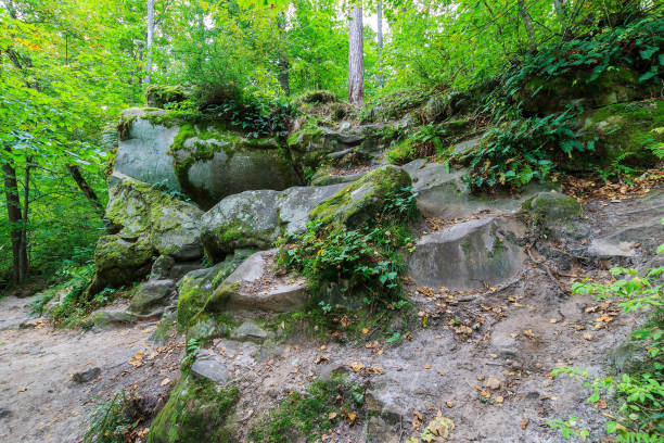 istock rock covered with moss in the forest on a cloudy day 643306628