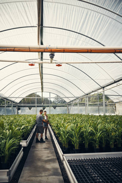 istock Gifted with amazing gardening skills 643306830