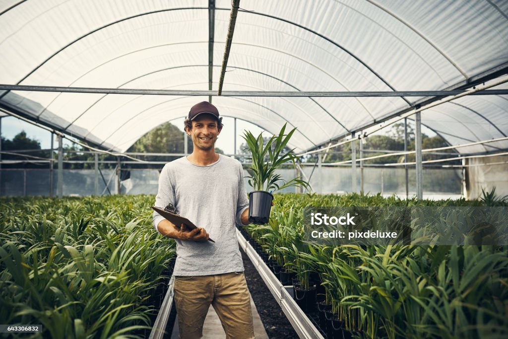 I’ve got some amazing new fresh stock in Shot of a young man taking stock of a garden center’s merchandise Entrepreneur Stock Photo