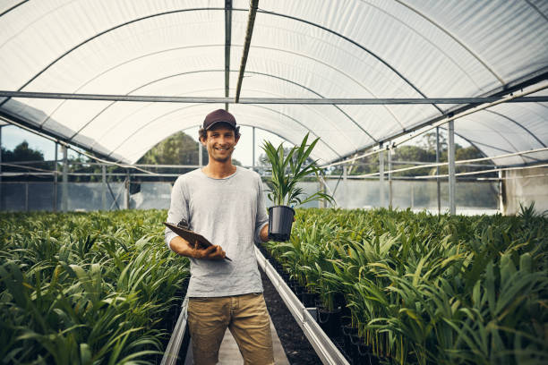 I’ve got some amazing new fresh stock in Shot of a young man taking stock of a garden center’s merchandise plant nursery photos stock pictures, royalty-free photos & images