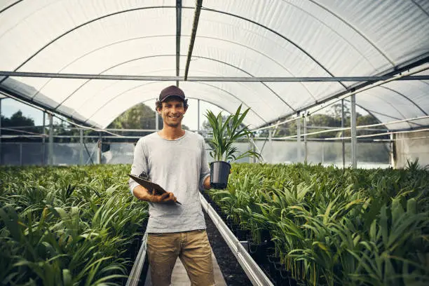 Shot of a young man taking stock of a garden center’s merchandise