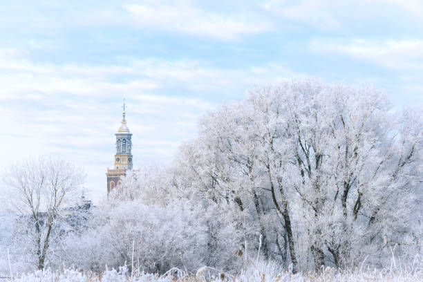 istock Frozen trees with the Nieuwe Toren (New Tower) in Kampen 643306896