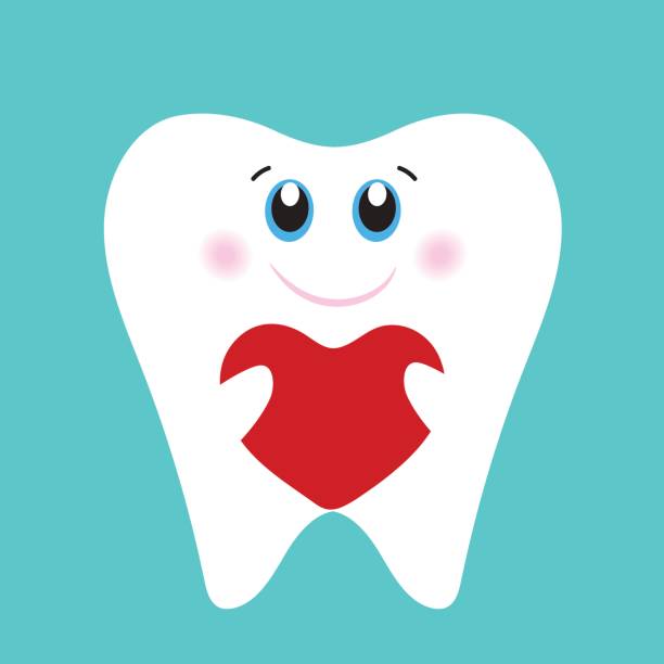 Cute tooth holding a red heart. vector art illustration