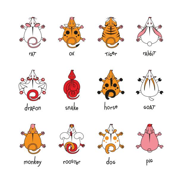 čínský zvěrokruhov podepisuje ikony nastavené. krysa had dračí prase kohout králík kůň opice pes tiger vůl býčí myš, barva vektor kreslená ilustrace - pooch hall stock ilustrace