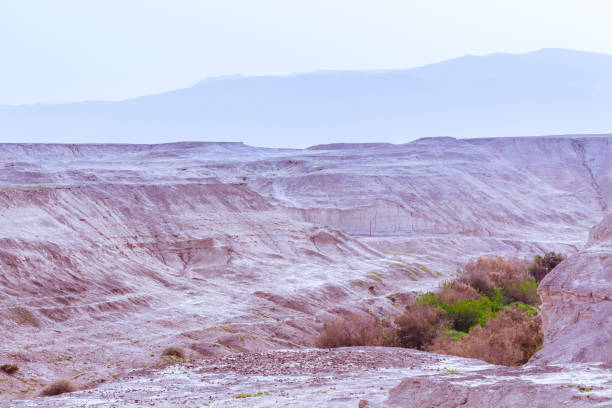 istock Desert glen with vegetation at sunset 643317652
