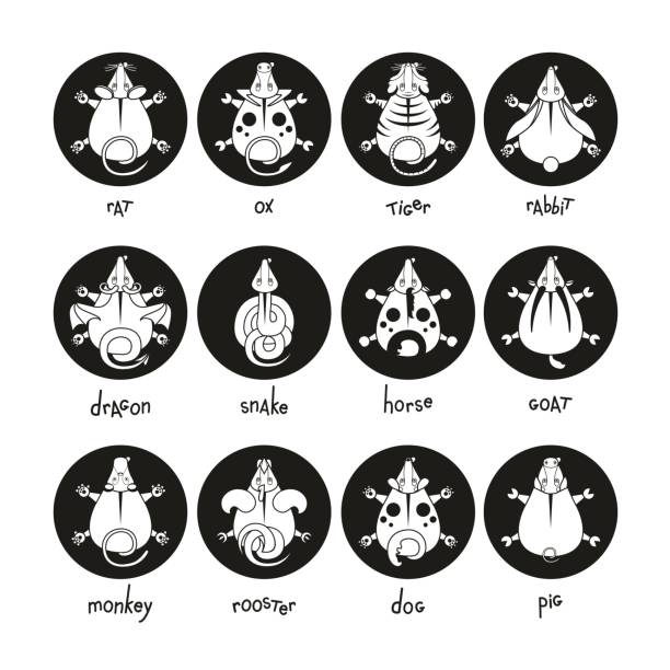 čínský zvěrokruhov podepisuje ikony nastavené. krysa had dračí prase kohout králík kůň opice pes tiger vůl býčí myš, černá a bílá vektorová kreslená ilustrace - pooch hall stock ilustrace