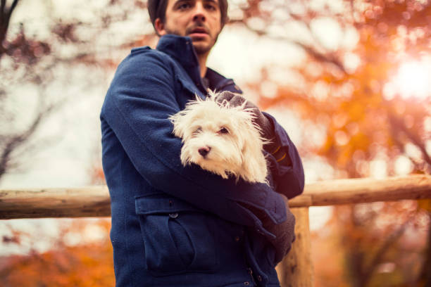 istock Pet owner and his dog 643321478