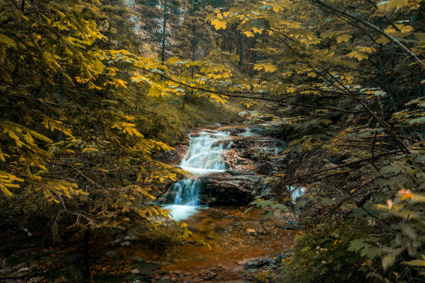 istock Little waterfall in autumn scenery. 643328876