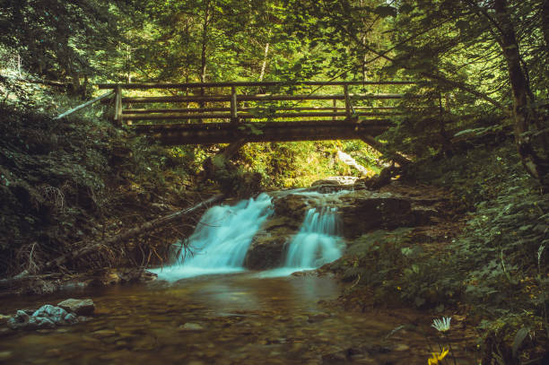 istock Little waterfall in autumn scenery. 643328968