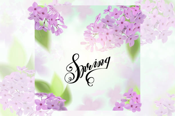 istock Vector web banners with purple, pink, blue and white lilac flowers 643333182